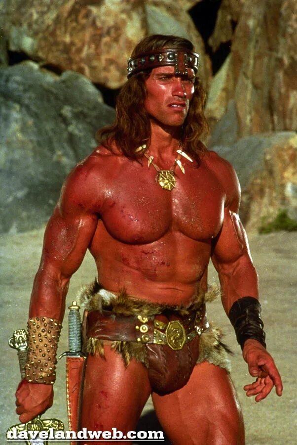 Арнольд шварценеггер конан. Конан разрушитель 1984. Конан разрушитель арнольд. Конан разрушитель 1984. Arnold schwarzenegger конан разрушитель.