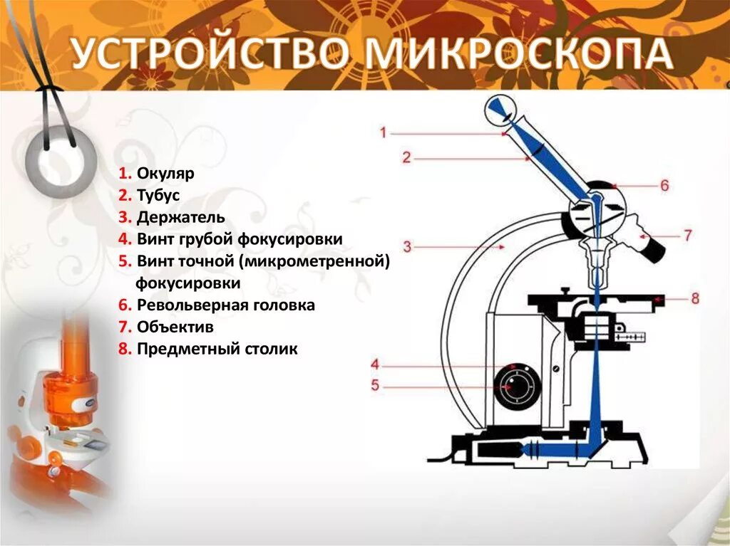 Части микроскопа выполняют функции тубус. Окуляр микроскопа строение микроскопа. Строение микроскопа окуляр функция. Строение микроскопа тубус функция. Устройство микроскопа окуляр Назначение.