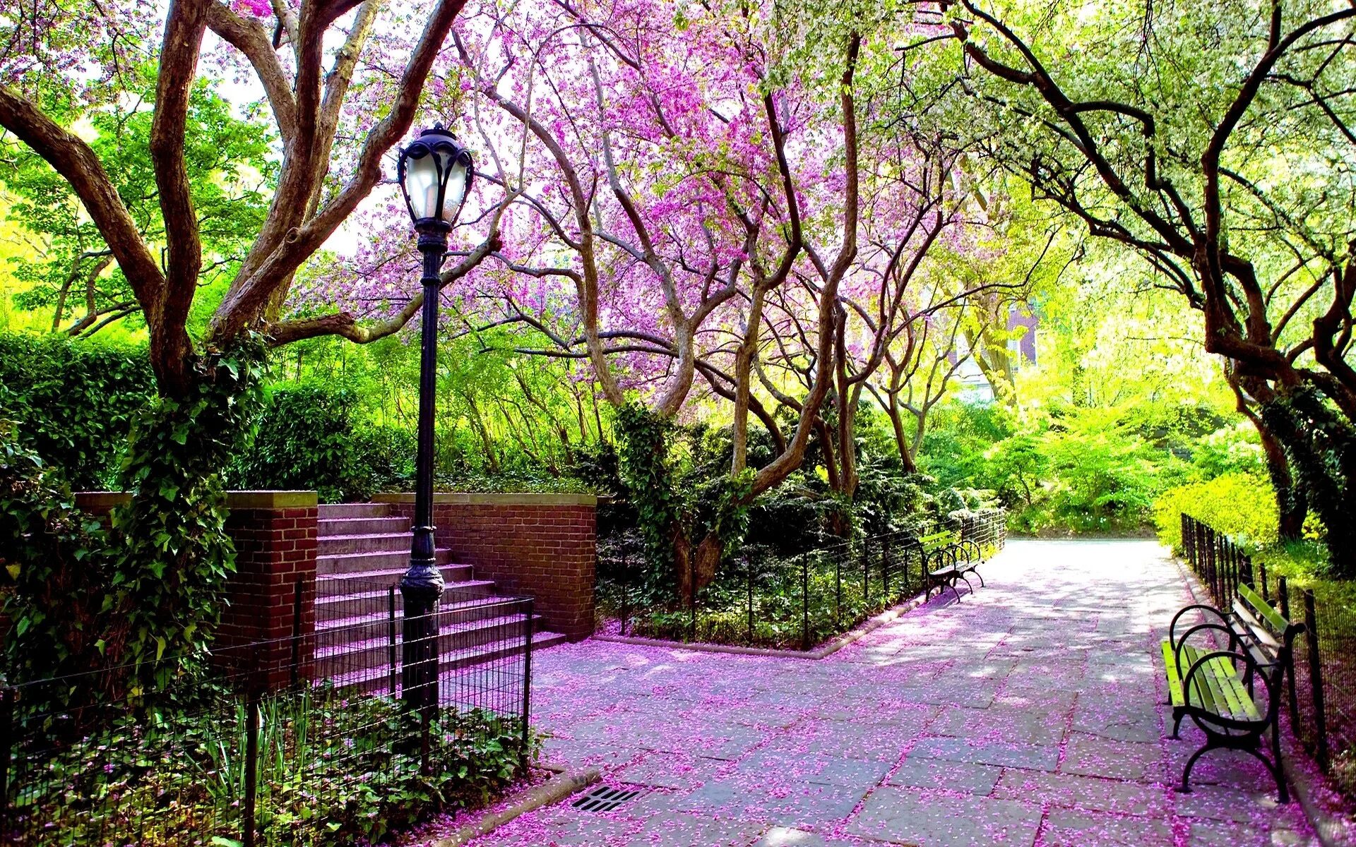 Spring scenes