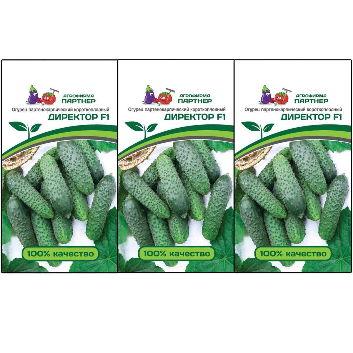 Огурец директор f1 семко. Директор огурцов. Огурец директор f1 акварель. Директор огурцов. Огурец директор f1 (5шт) // садовита.