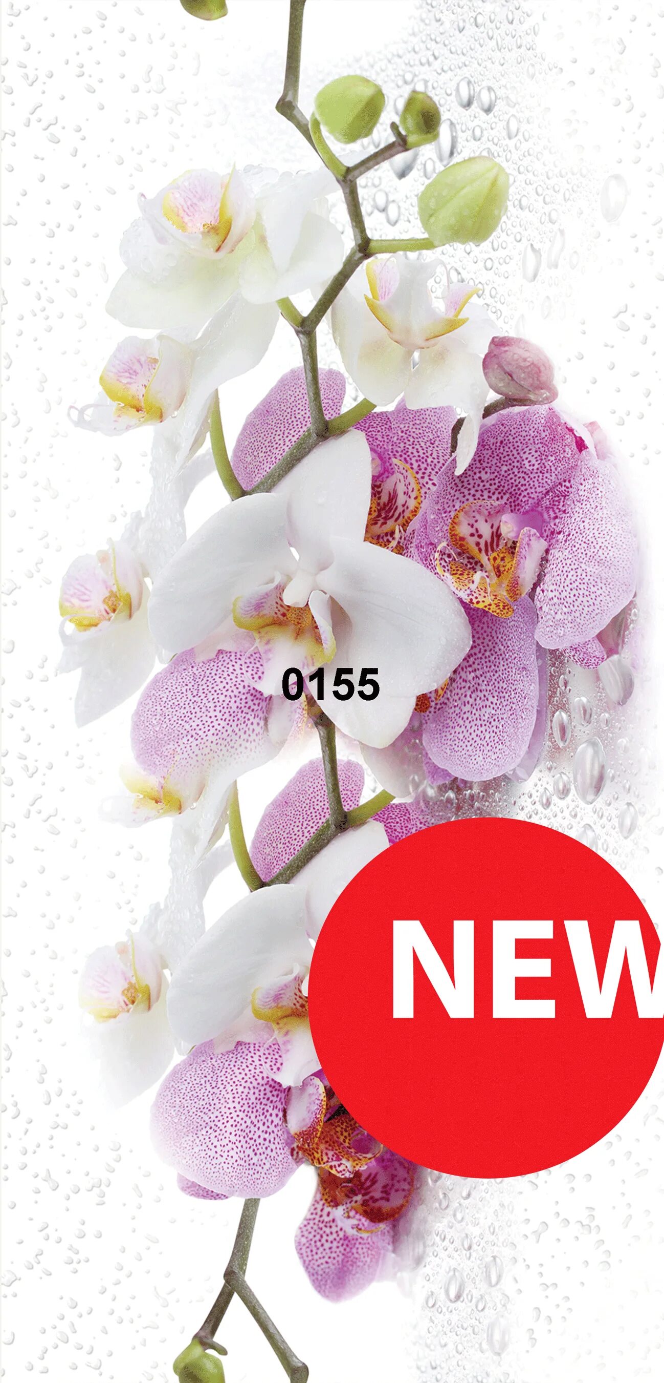 Панель ПВХ 0155. Пластиковые панели Орхидея. Стеновые панели ПВХ Орхидея. Пластиковые панели орхидеи стеновые. Панель пвх орхидея
