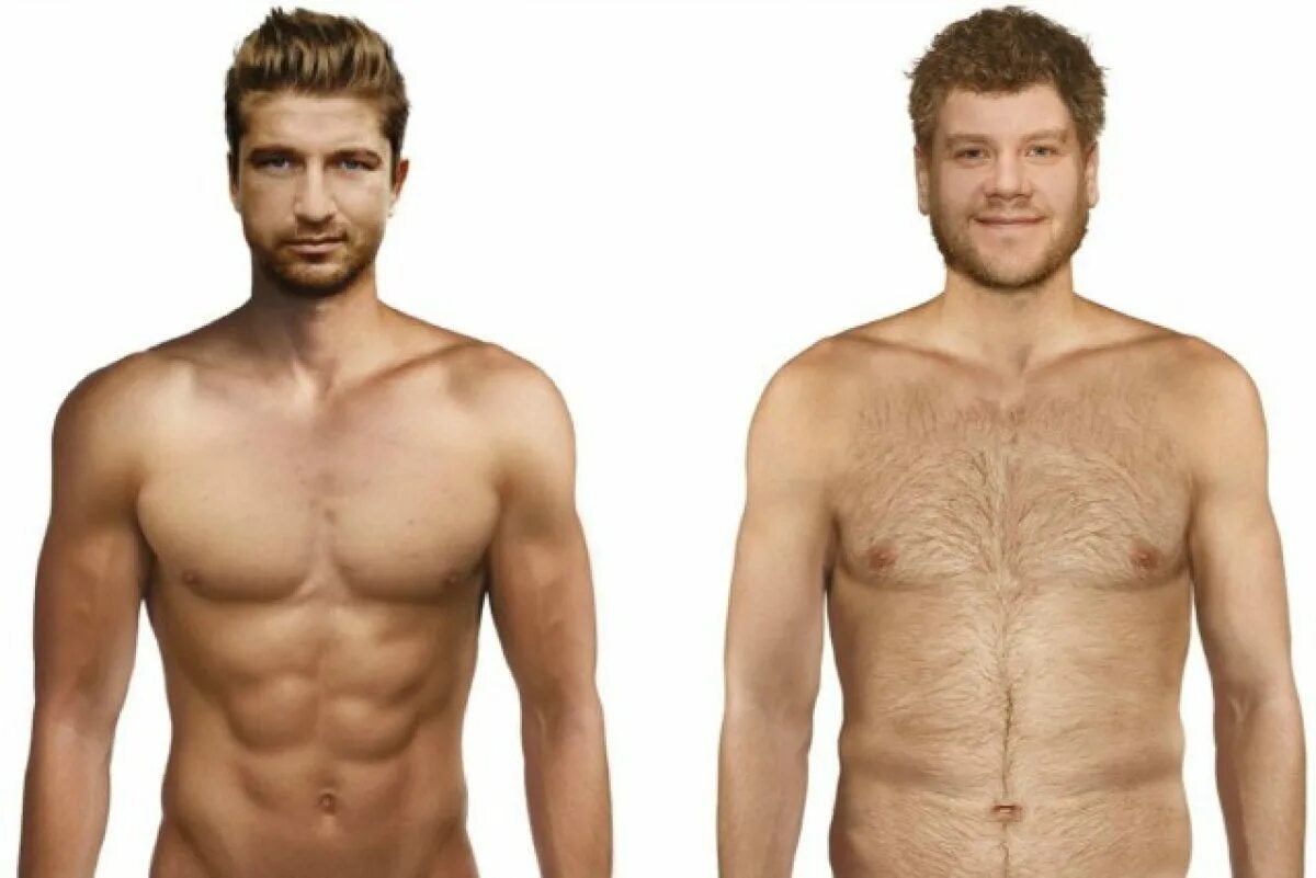 Половое состояние мужчины. Мужская фигура. Мужское тело обычное. Мужчина среднего телосложения. Обычное Телосложение.