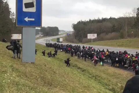 Последние новости о открытии границ с беларусью