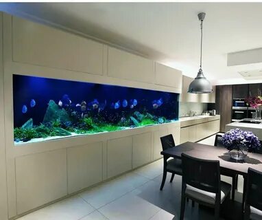 Aqua room