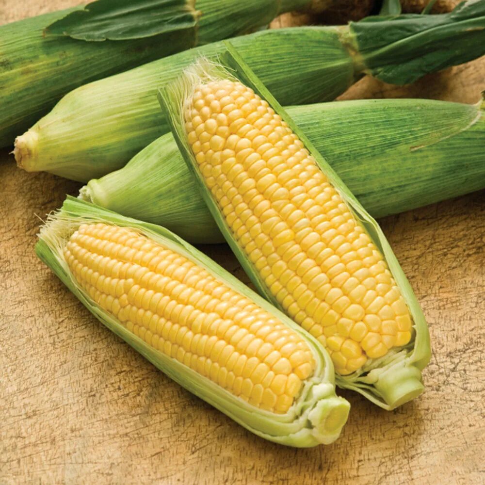 Кукуруза - Zea Mays. Кукуруза обыкновенная - Zea Mays l.. Кукуруза Sweet Corn. Кукуруза sweetcorn Corn Dakota Black (1 упаковка (семена)). Mays corn