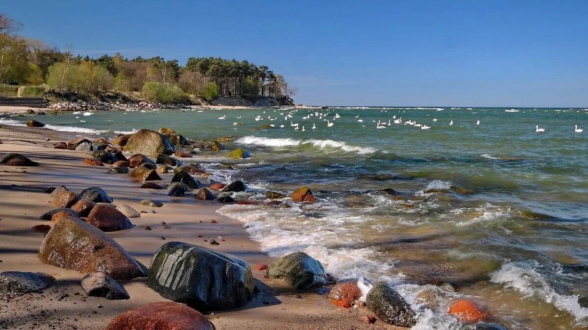 Балтийское море июнь. Балтийское море 2023. Балтийское море июнь. Куршская коса янтарный берег. Балтийское море калининград.