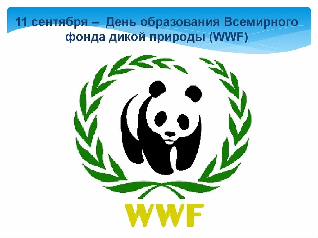 The world wildlife fund is. ВВФ Всемирный фонд дикой природы. Всемирный фонд дикой природы (ВВФ) эмблема. Всемирный фонд природы (WWF — World Wildlife Fund) логотип. День рождения Всемирного фонда дикой природы 11 сентября.