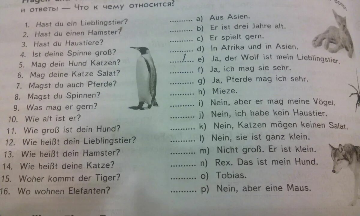 Животные на немецком языке 5 класс. Рассказ на немецком языке. Проект Mein Lieblingstier. Hast du ein Lieblingstier ответы.