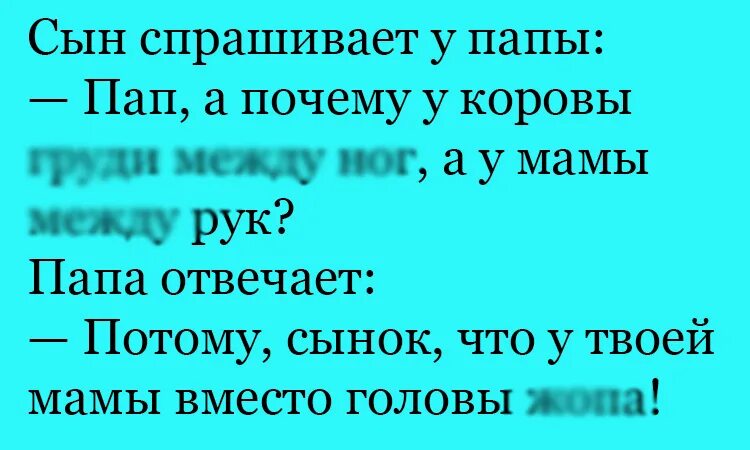 шутки про коров. анекдот про корову. дойная корова анекдот. корова карикатура. анекдот про корову.