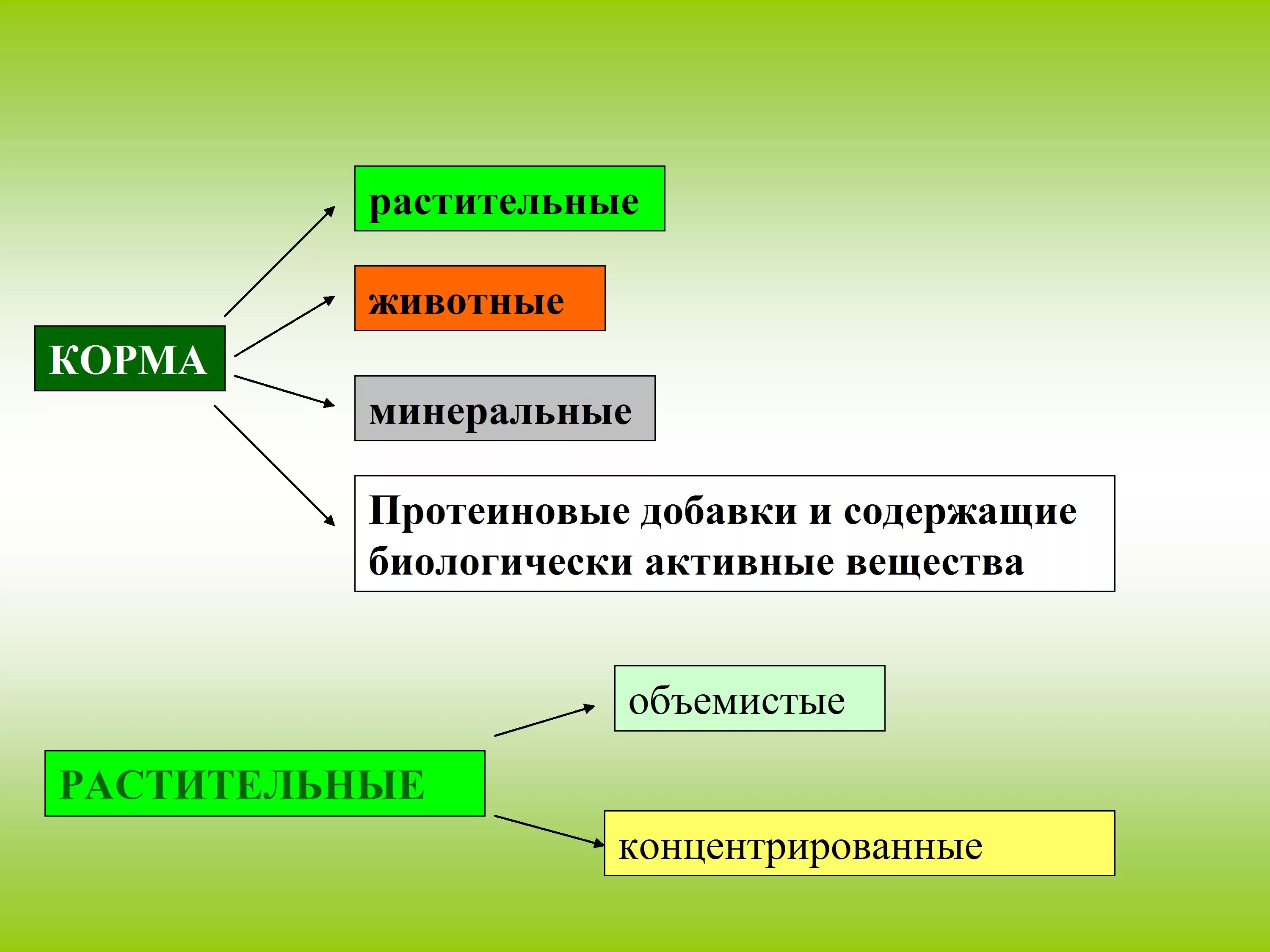 Основные группы растительных кормов. Корма классификация кормов. Схема классификации кормов для сельскохозяйственных животных. Корма растительного происхождения объемистые и концентрированные. Классификация кормовых растений.