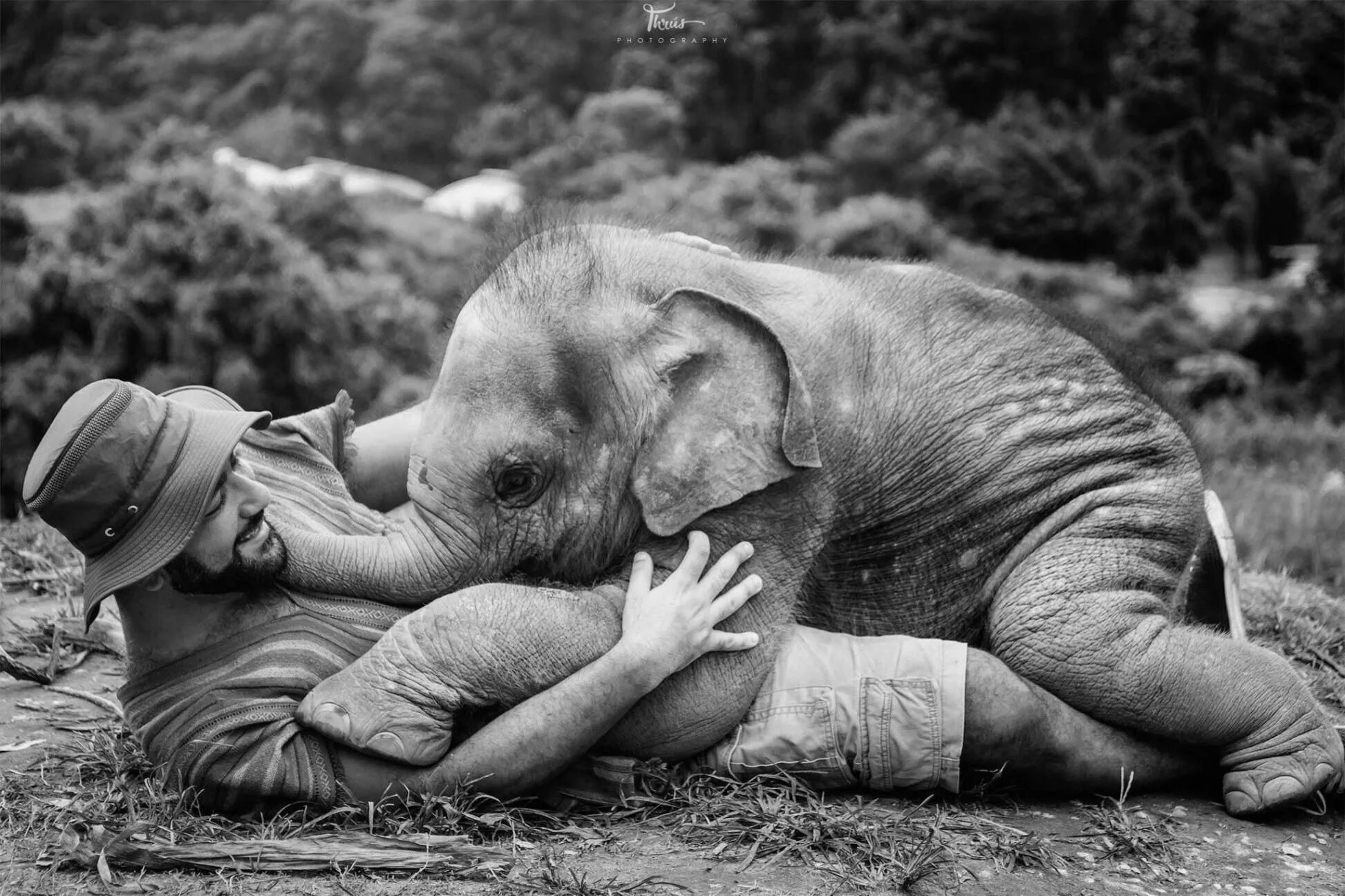 Funny elephant. Слоненок. Маленький Слоненок. Смешные слоны. Слон милый.