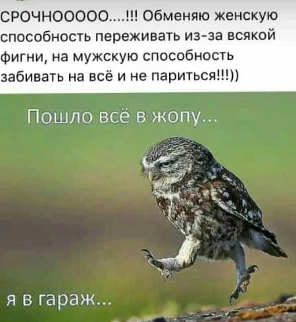 Все к черту цитаты. Песня ой все пошли к черту. Фото да пошло всё к чёрту. Ой все мем. Пошли все к черту.