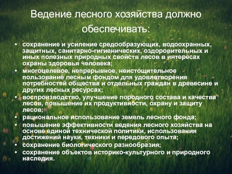 Заходишь в лесхоз и сразу чувствуешь. Ведение лесного хозяйства. Методы ведения лесного хозяйства. Рациональное использование лесов. Использование лесных ресурсов.