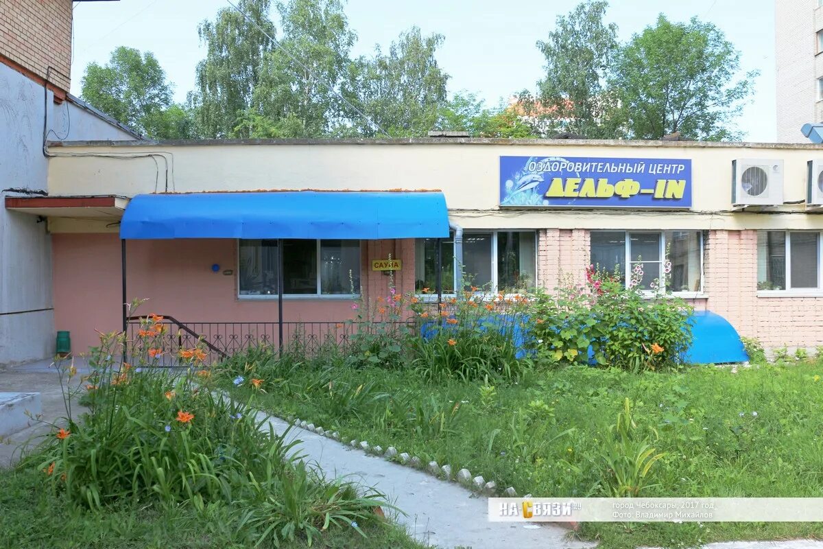 Центр света чебоксары. Кривова 9 чебоксары. дельфин чебоксары.