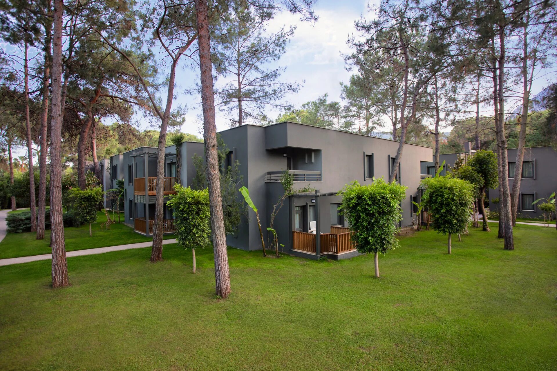 Наука леса. Forest логотип лес. Forest book. Палома ренессанс турция кемер. Книга сказок.