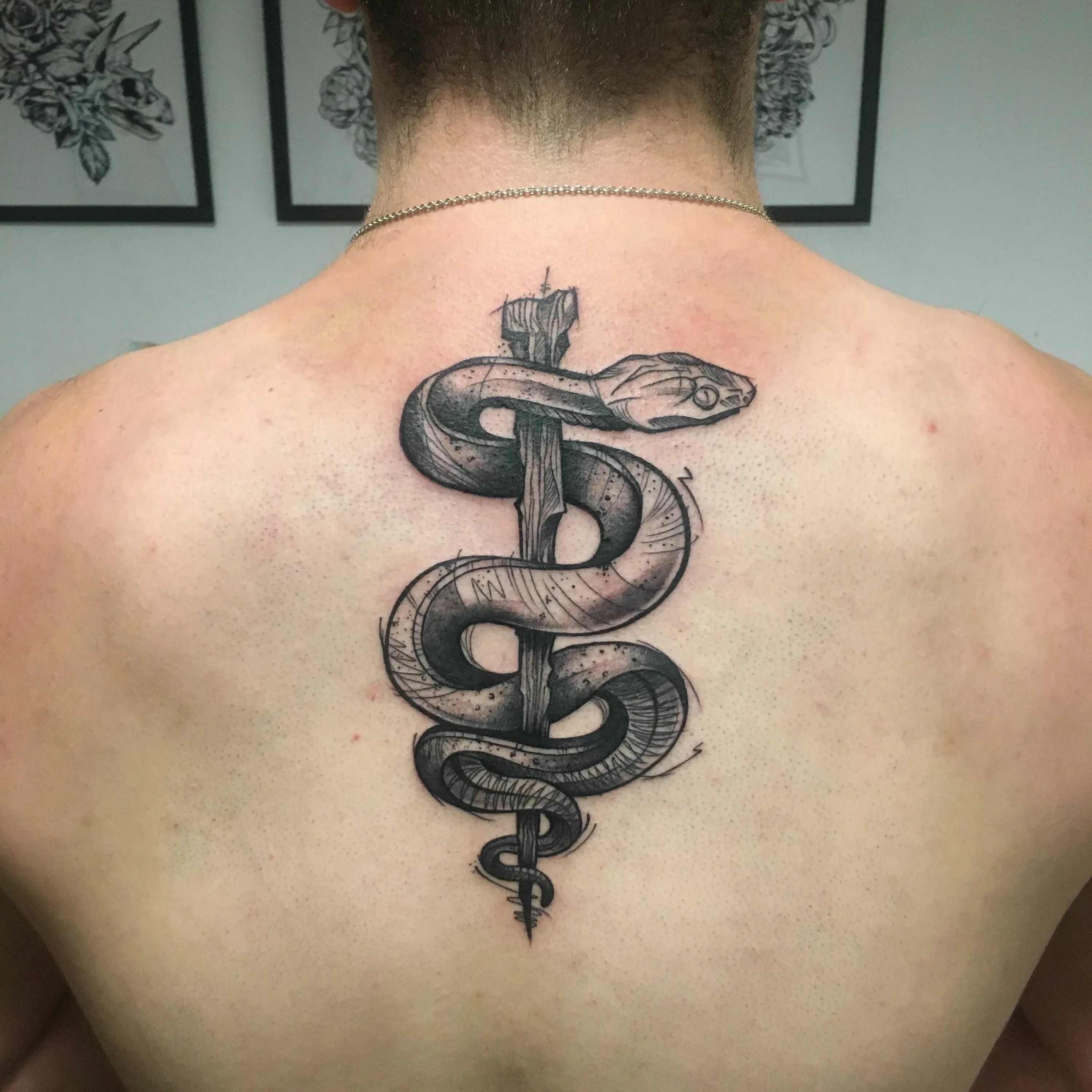 посох асклепия змееуста. посох асклепия змееуста. посох гермеса и асклепия. посох со змеей в медицине. медицинский символ посох асклепия.