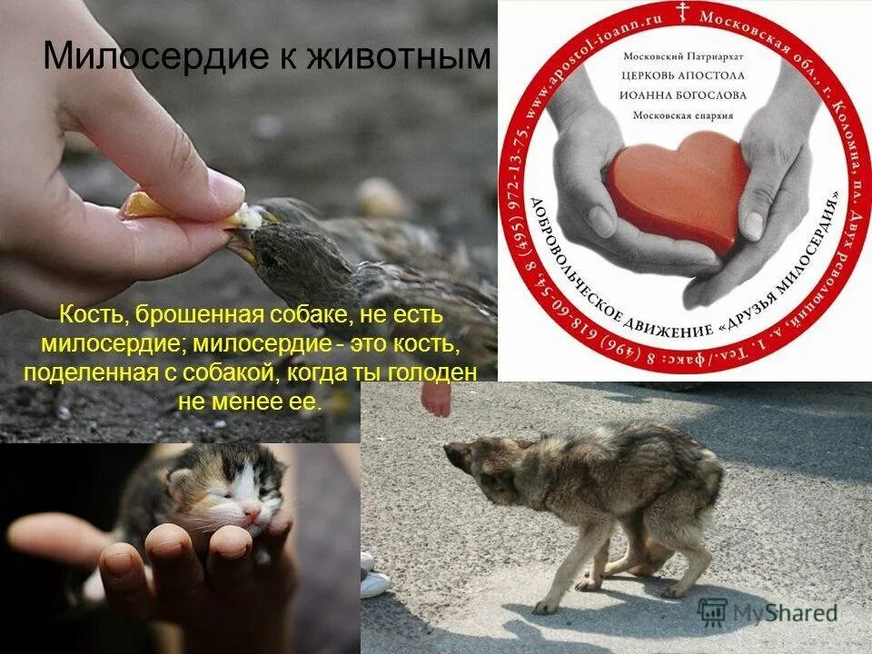 Картинки МЫСЛЬ ПРОИЗВЕДЕНИЯ КУСАКА