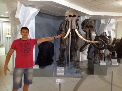 Сколько музеев в новосибирске
