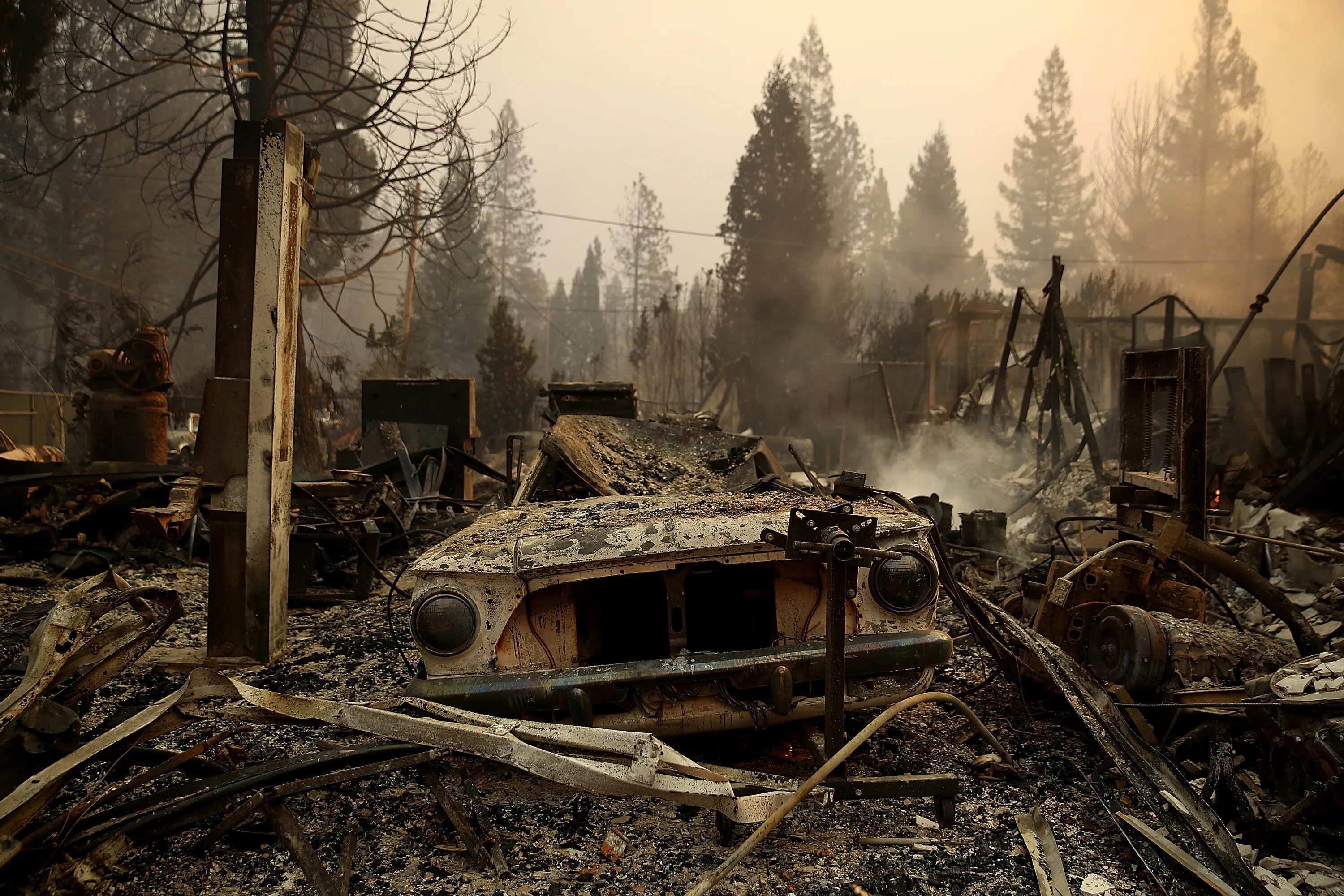 Сгоревшая верь. Лес после пожара. Развалины после пожара. Пепелище в лесу.