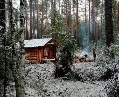 Глушь лесная это