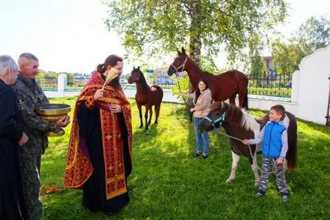 Лошади нижегородская область
