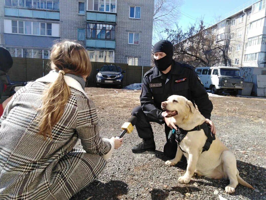 Сюжет подготовленный