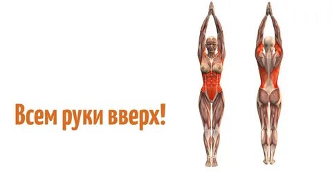 Польза поднятых рук