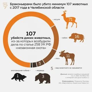За дело звериное дело