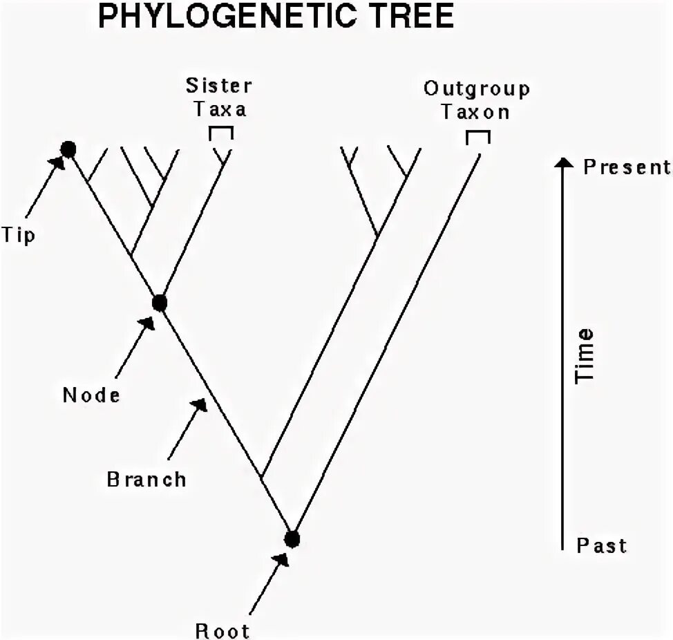 Near node. Near node