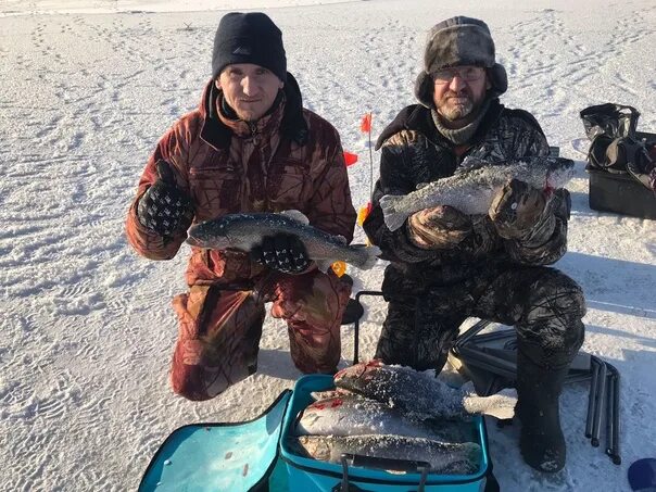 Рыбалка Данилово Домодедово. Самарафишинг вести со льда. Шмыгалка для рыбалки. Фишка Данилово рыбалка.