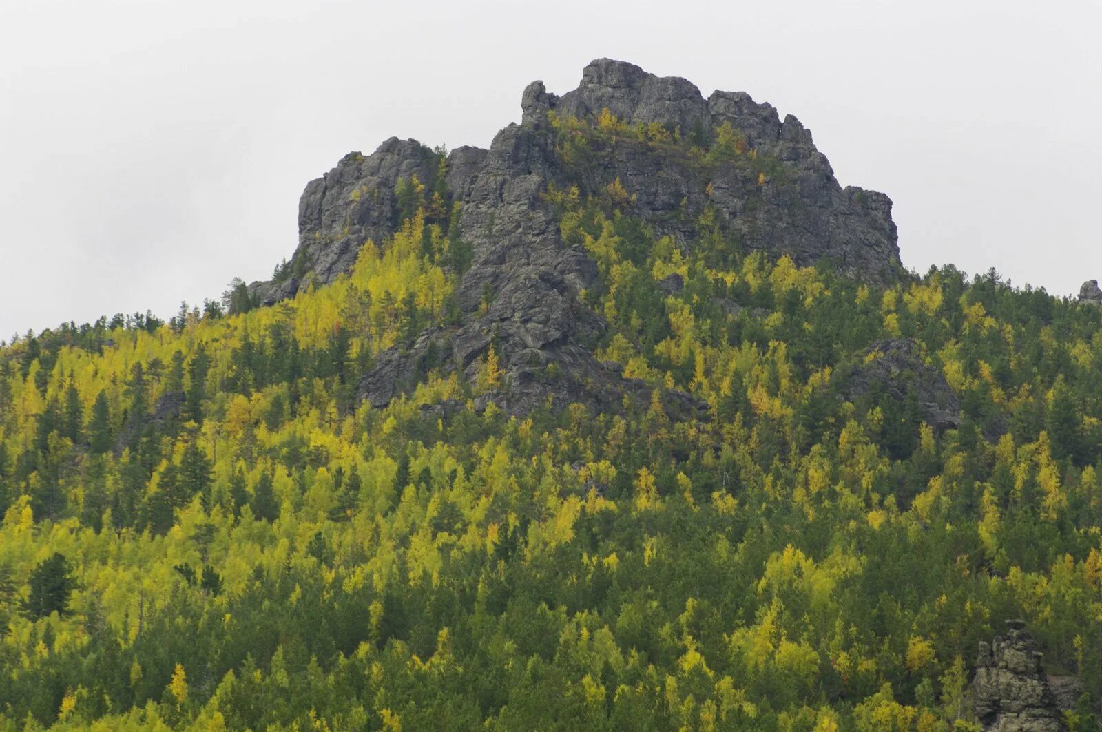 Гора Кумба Североуральск. Гора Кумба на Урале. Гора Кумба и золотой камень. Уральские горы Денежкин камень.