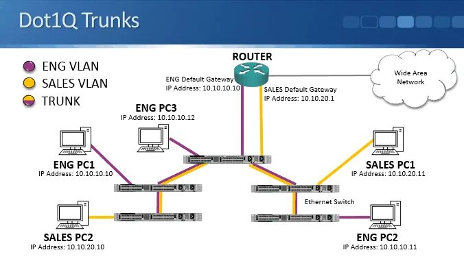 Trunk access. Cisco транк. Access Port и Trunk Port. VLAN Циско. Access Порты Cisco.