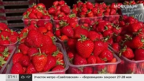 Клубника 2024 москва