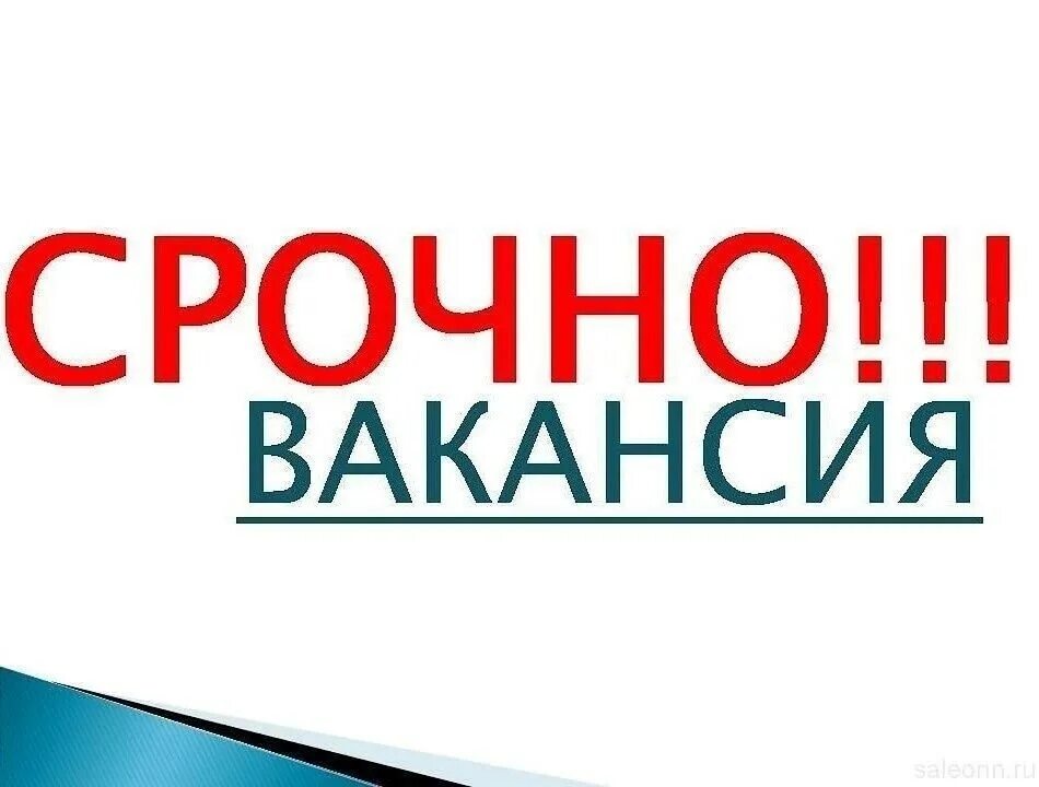Срочно бывший. Срочно вакансия. вакансия срочно требуется. срочно требуется на работу. срочно открыта вакансия.