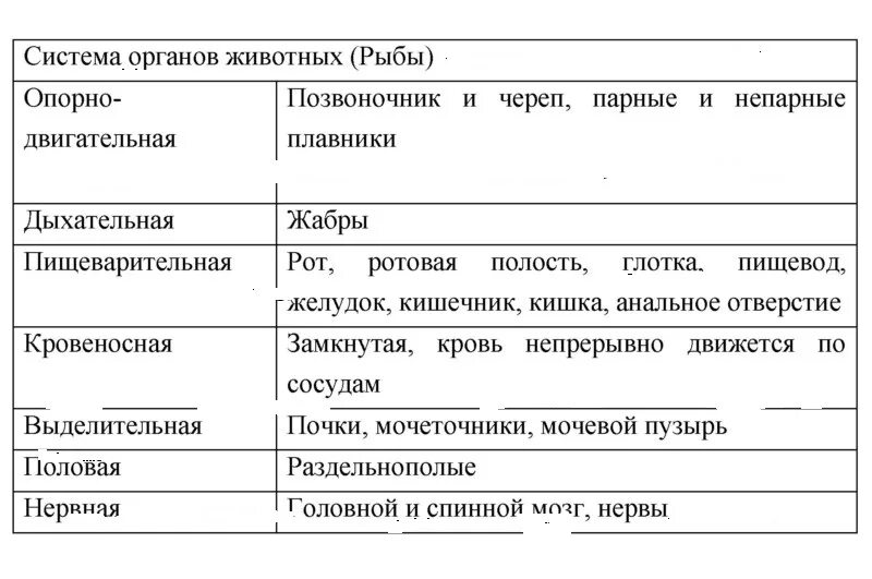 Таблица рыбы 8 класс биология. Системы органов рыб таблица. Система органов животных таблица 7 класс. Таблица составленная при изучении систем органов животных. Таблица система органов рыб особенности.