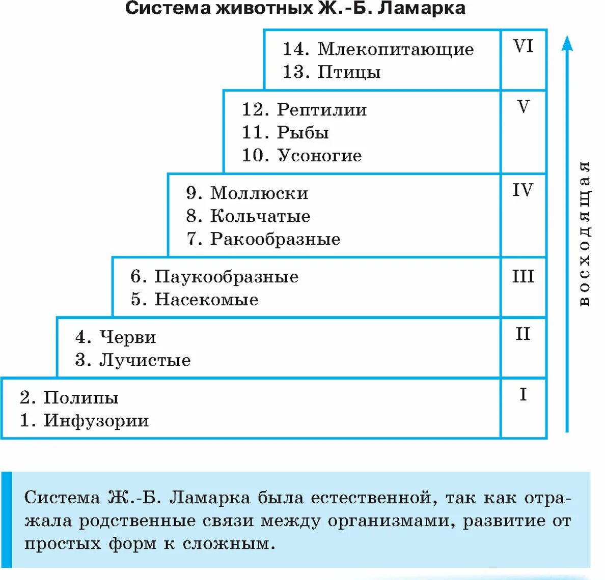 Эволюционные взгляды ж б ламарка. Лестница живых существ Ламарка. Система классификации Ламарка. Лестница существ Ламарка схема. Система животных Ламарка таблица.