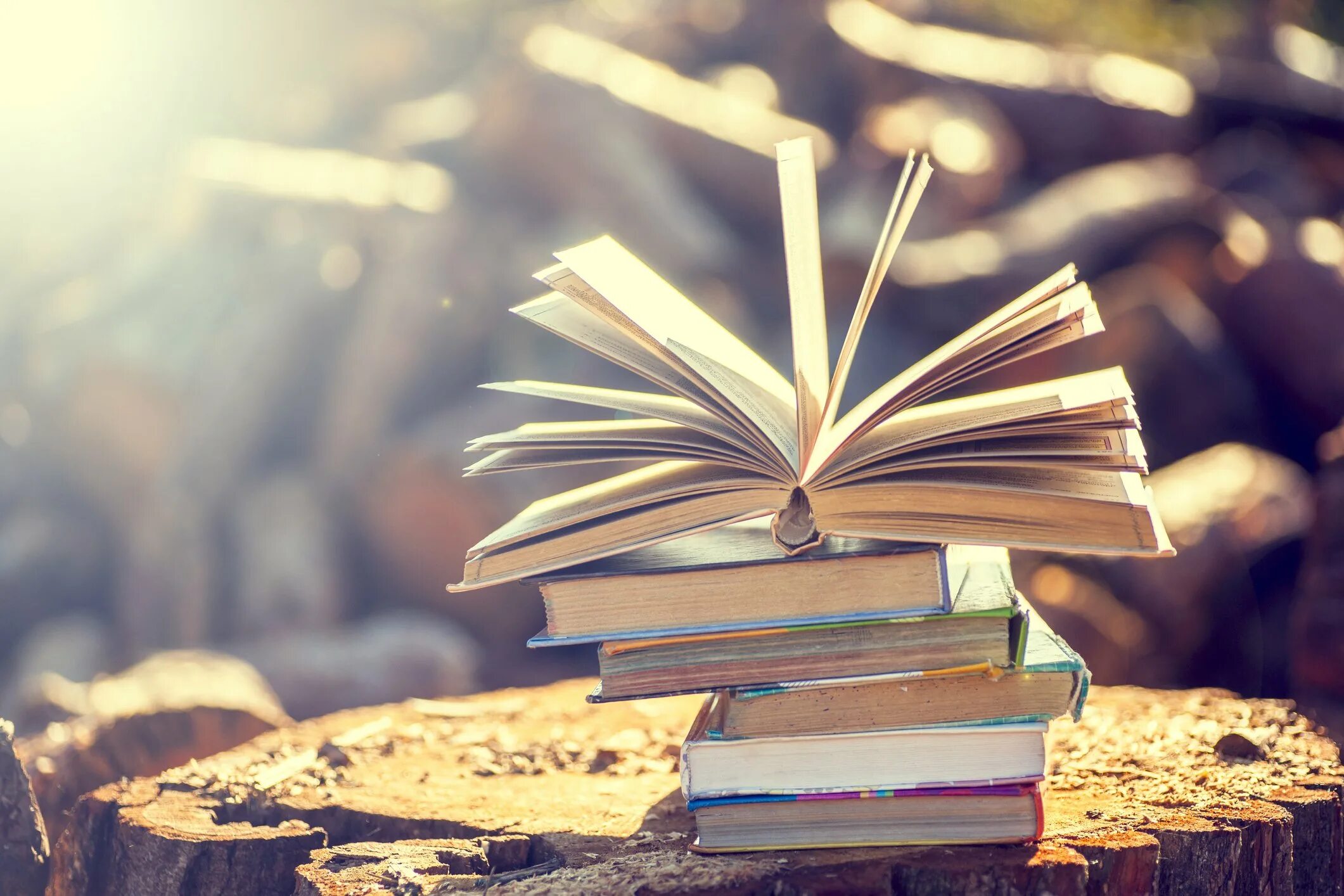 5 books