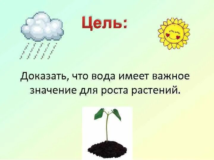 Значение роста в жизни растений 5. Вода в жизни растений презентация для детей. Вода в жизни растений. Значение воды для растений. Условия жизни растений.