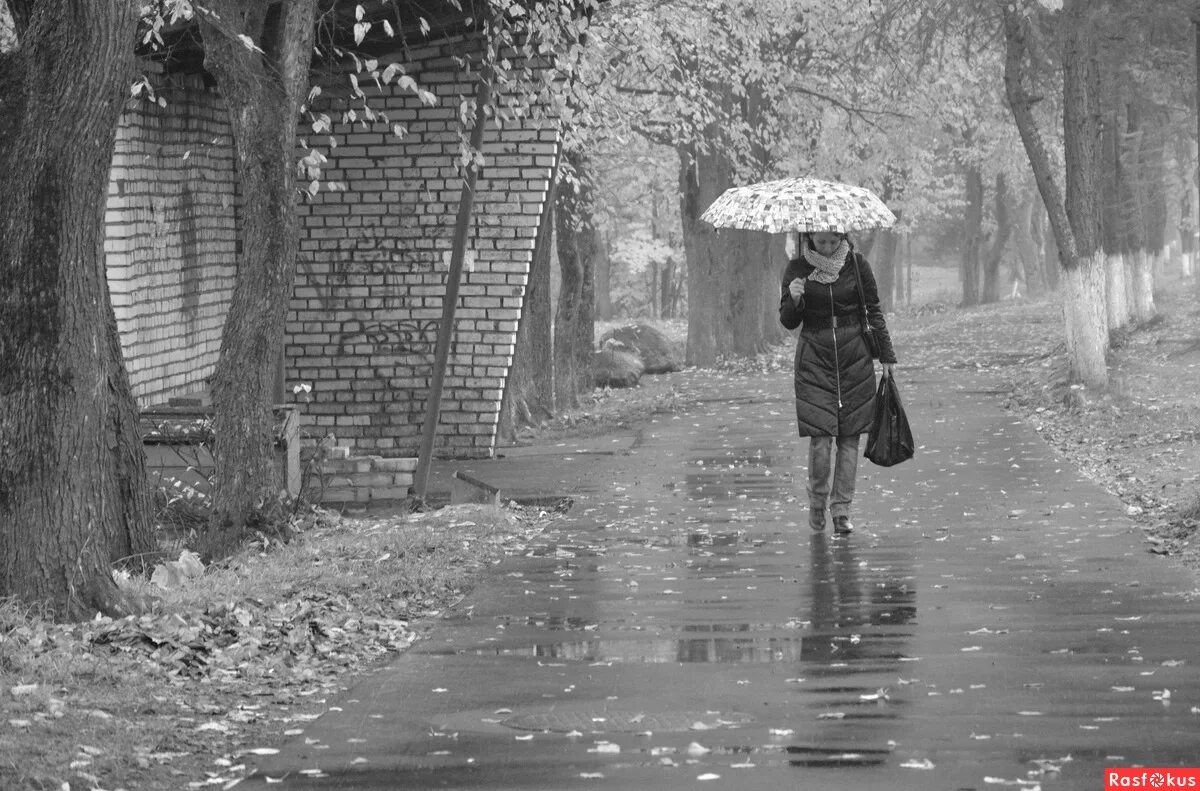 Известно что в дождливые дни. Грустный дождливый день. Унылый под дождем. Одинокая девушка под дождем. Парк дождь черно белое.