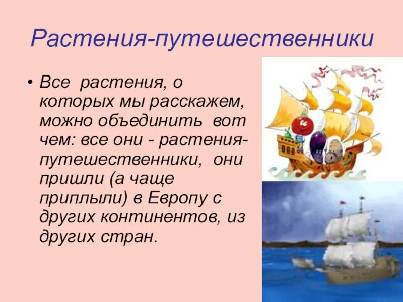 Сообщение о растениях путешественниках