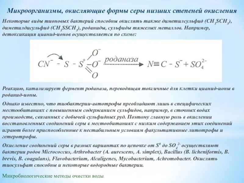 Способные окислять. Окисление микроорганизмами серы. Микробное окисление серы. Диметилсульфид в сточных Водах. Микробиологическое окисление.