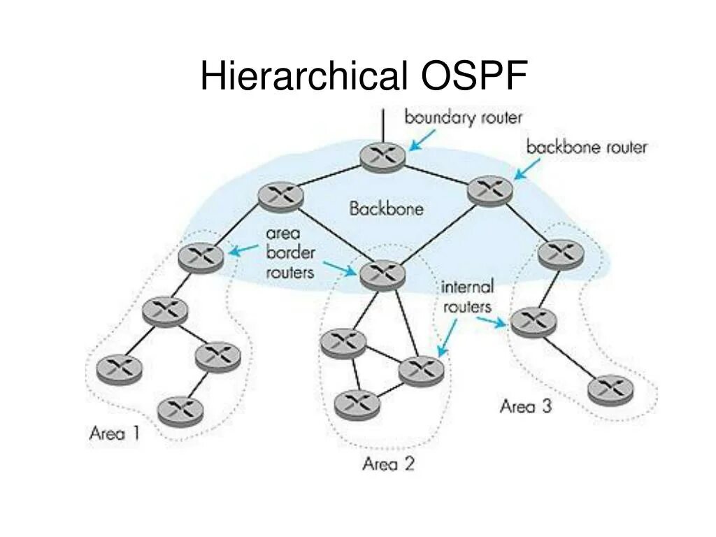 Протокол маршрутизации OSPF. Маршрутизация OSPF. Роли маршрутизаторов в OSPF. Сетевые протоколы OSPF. Internal routing