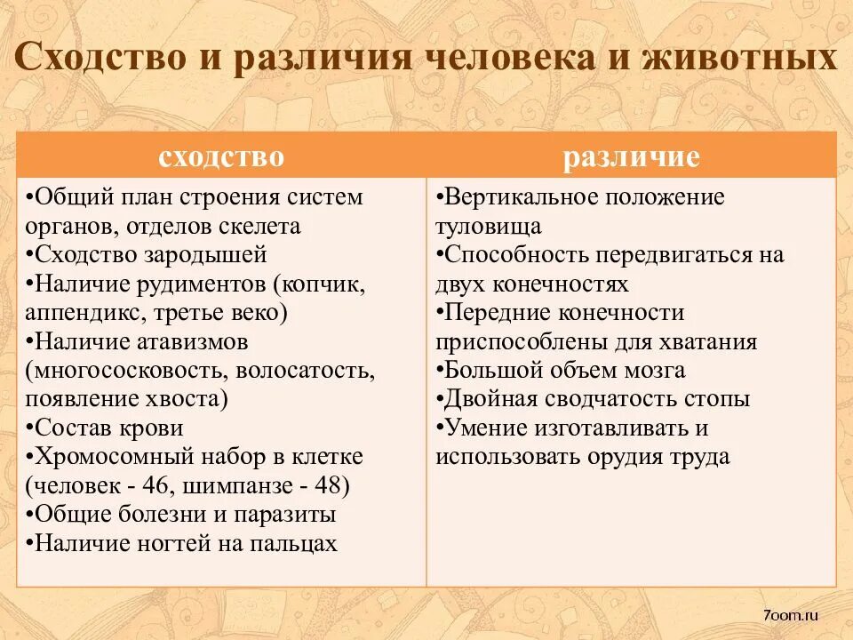 О чем свидетельствует сходство и различие. Сходство и отличие человека от животных. Отличия и сходства человека и животного. Сходство человека и животных. Таблица сходство и различие человека и животных.