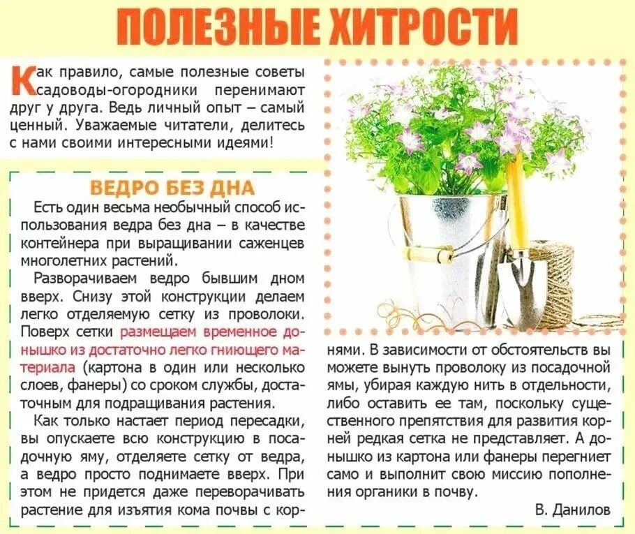 Полезные советы для садоводов. Сад и огород полезные советы. Советы для дачников и огородников. Полезные советы для огородников. Полезные советы для садоводов.