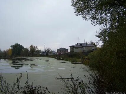 Прогноз фурманов