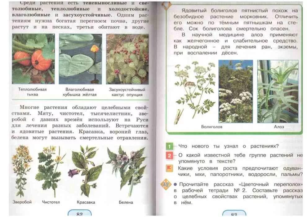 Учебник по окружающему миру 3 класс растения. Поглазова 3 класс 2 часть учебник. Учебник по окружающему миру 3 класс. Учебник окружающий мир 3 класс новый.