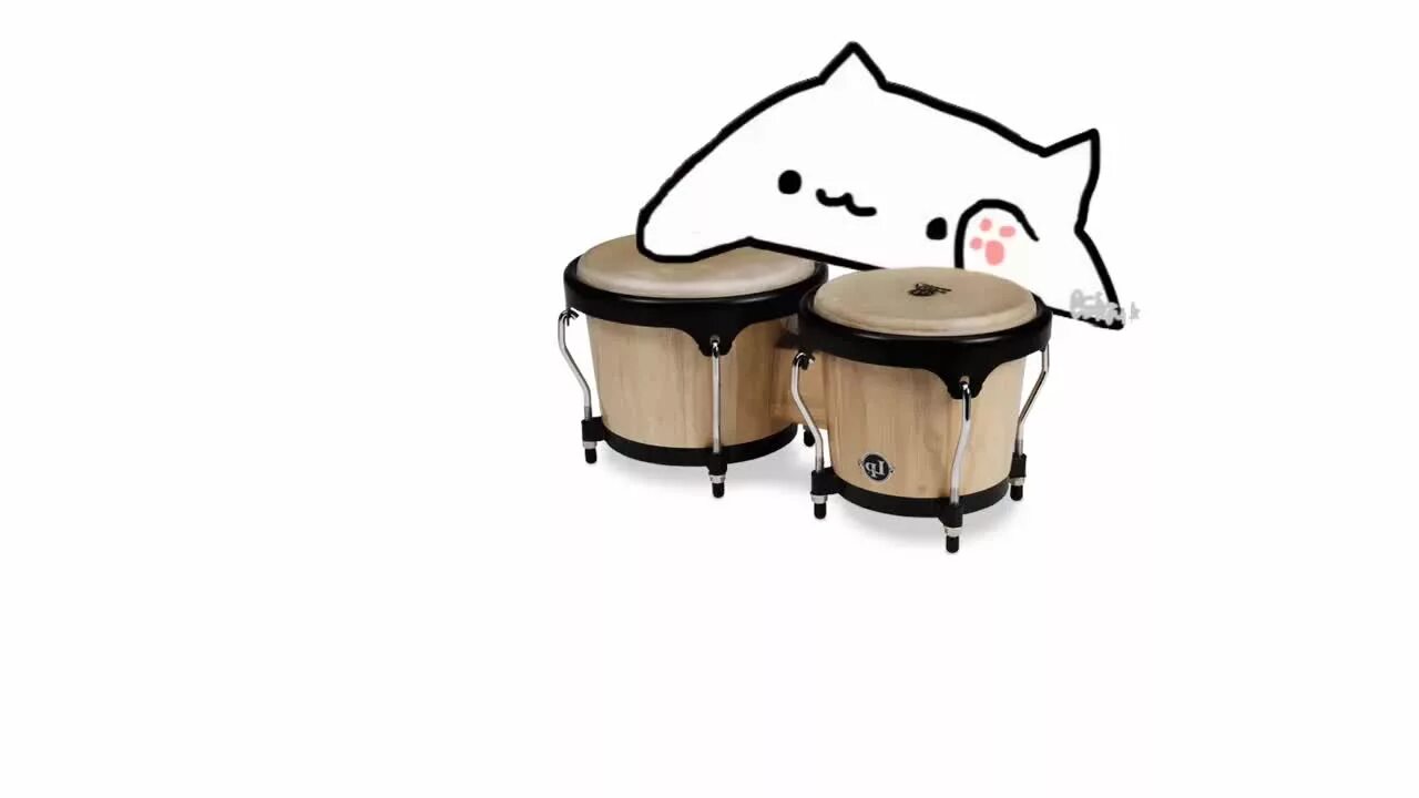 Ролл бонго. Котик с барабанами. Бонго кэм. Бонго кэт на камеру. Клавиатура для bongo cat cam.