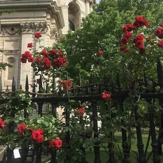 But flowers
