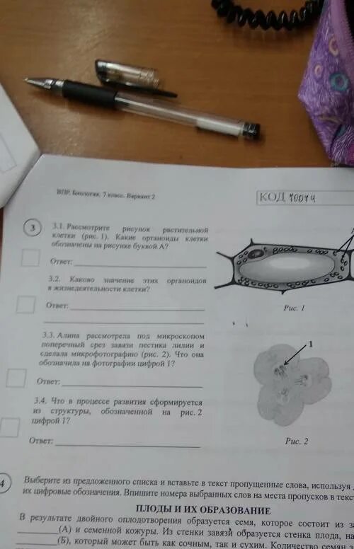 Решу впр био 5. ВПР по биологии 7 класс животные 2022 с ответами. Вприпо биологии 7 класс. ВПР биология 7. ВПР биология 7 класс.