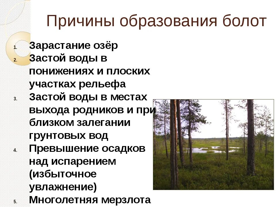 Причины образования. Причины образования болот. Причины формирования болот. Факторы образования болот. Причины образования боло.